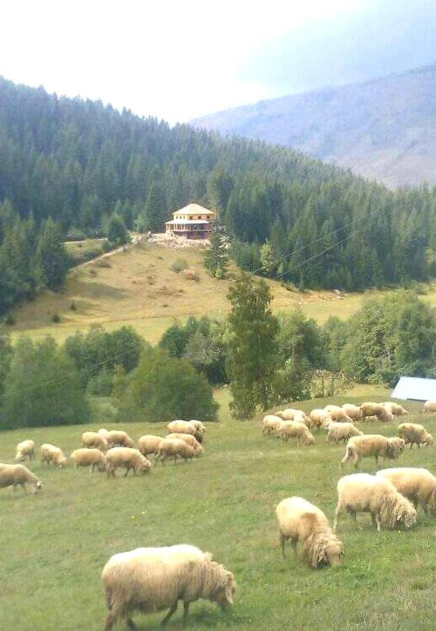 Willa Isov Ranch Plav Zewnętrze zdjęcie