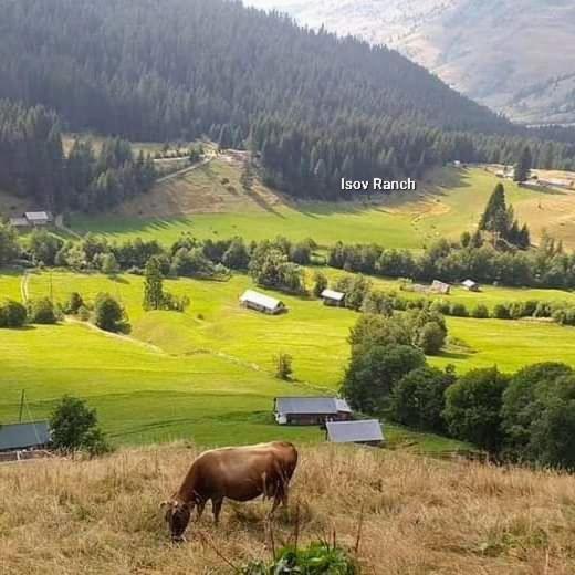Willa Isov Ranch Plav Zewnętrze zdjęcie