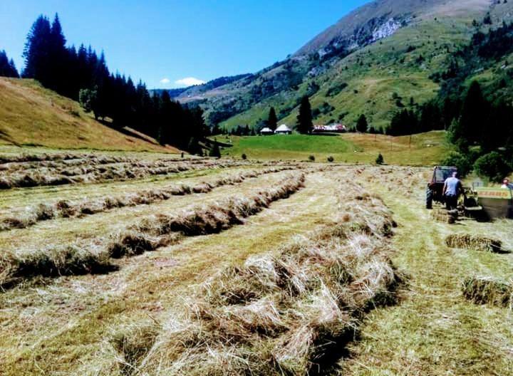 Willa Isov Ranch Plav Zewnętrze zdjęcie