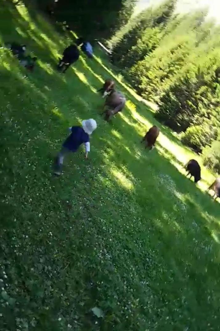 Willa Isov Ranch Plav Zewnętrze zdjęcie