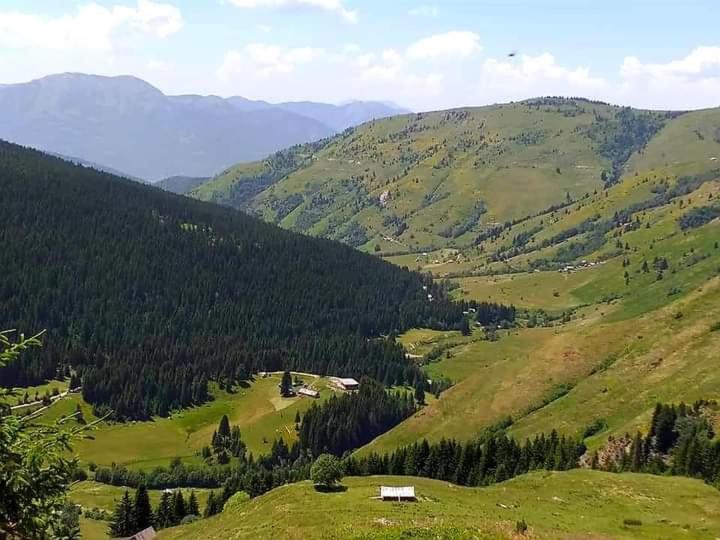 Willa Isov Ranch Plav Zewnętrze zdjęcie