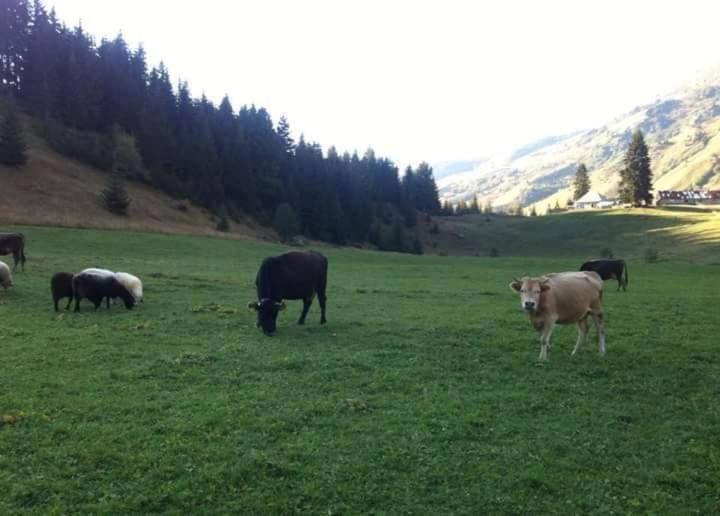 Willa Isov Ranch Plav Zewnętrze zdjęcie