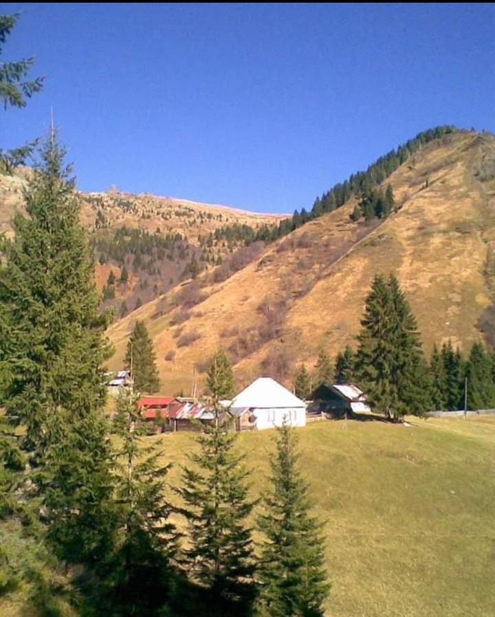 Willa Isov Ranch Plav Zewnętrze zdjęcie